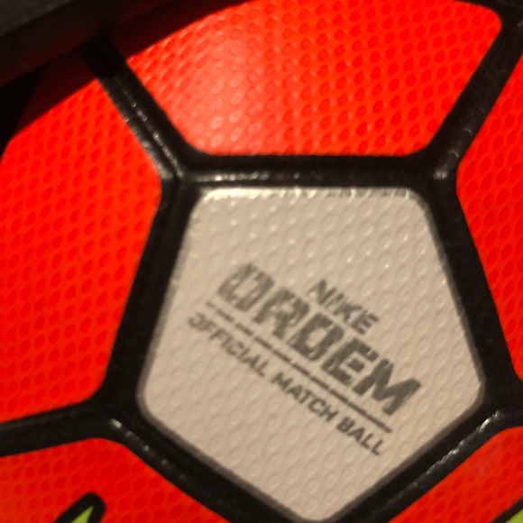 Meet your Posher, Leo - Picture 1 of 1